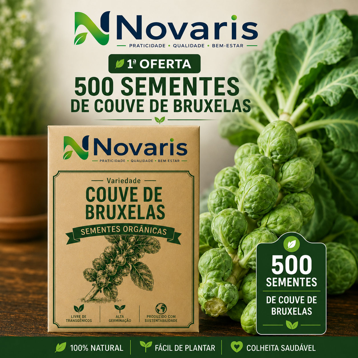 500 sementes de couve de Bruxelas Novaris