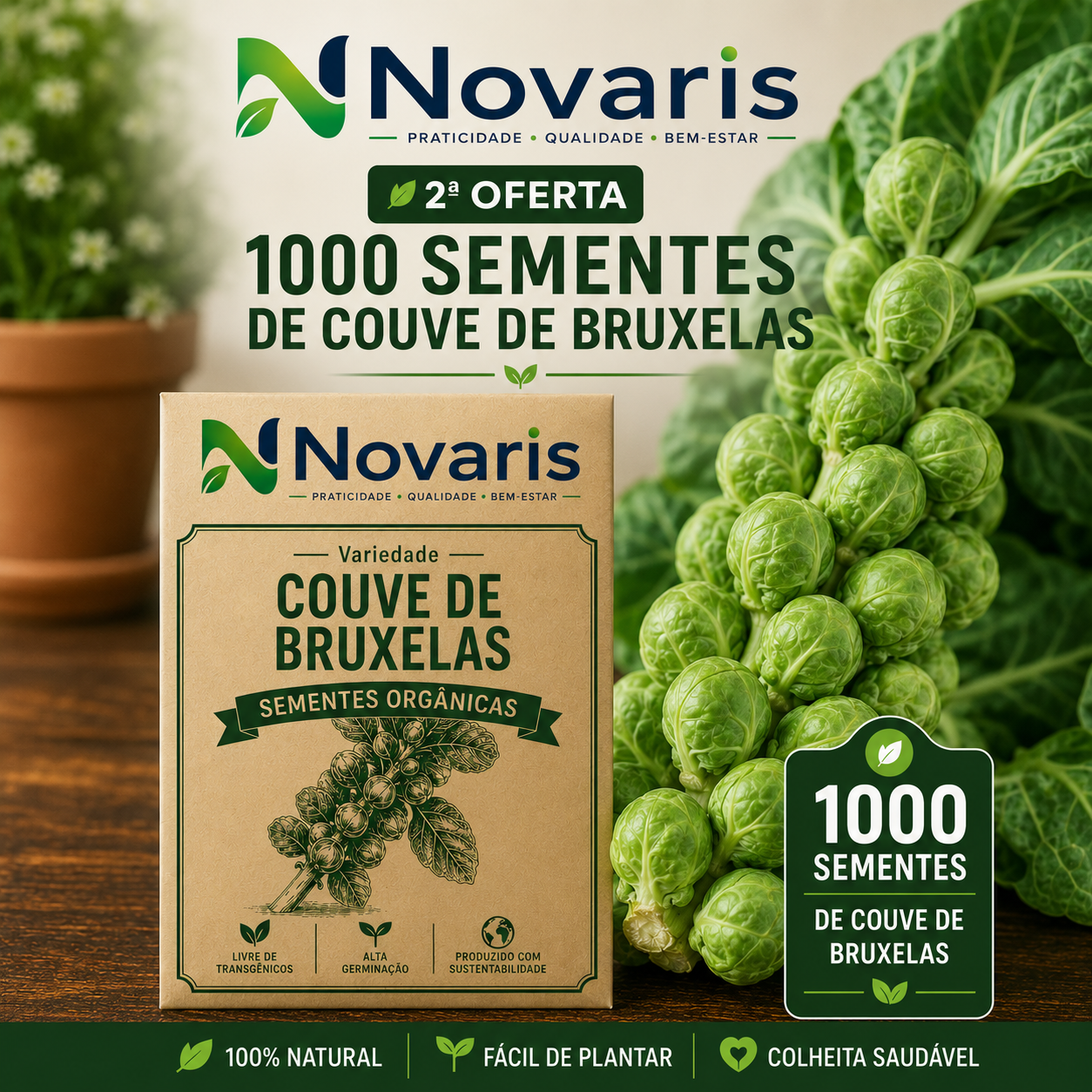 1000 sementes de couve de Bruxelas Novaris